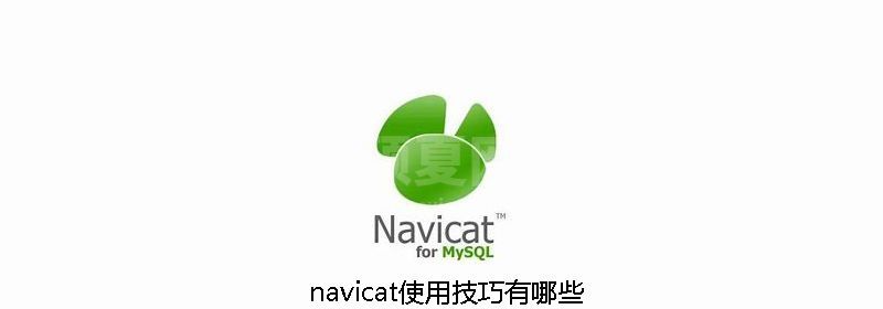 navicat使用技巧有哪些