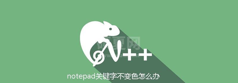 notepad关键字不变色怎么办