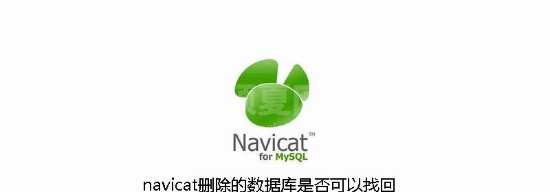 navicat删除的数据库是否可以找回