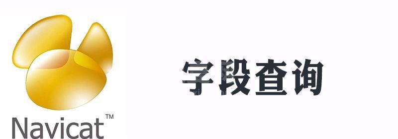 navicat数据库怎么筛选查询某一个字段