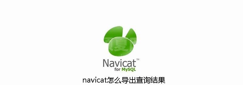 navicat怎么导出查询结果