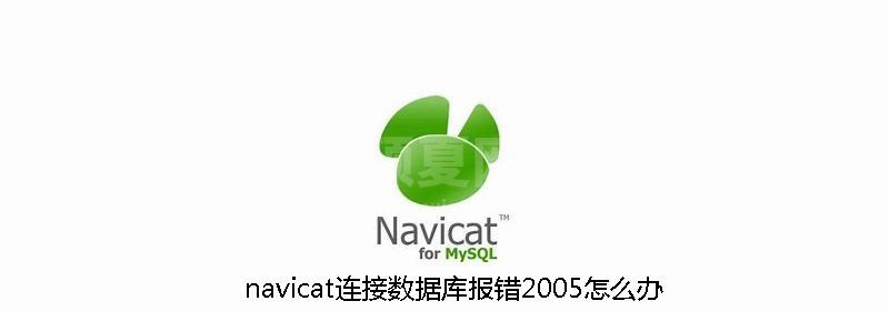 navicat连接数据库报错2005怎么办