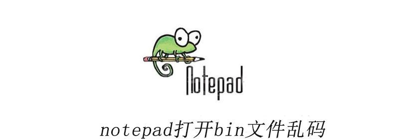 notepad打开bin文件乱码