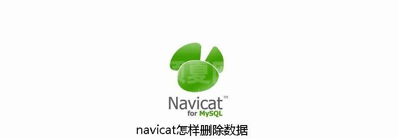 navicat怎样删除数据