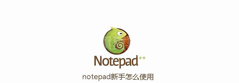 notepad新手怎么使用