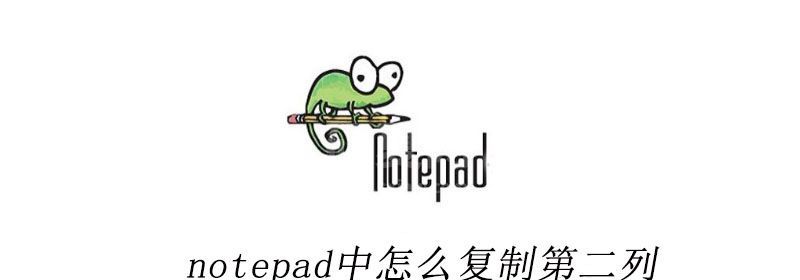 notepad中怎么复制第二列