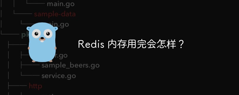 redis 内存用完会怎样？