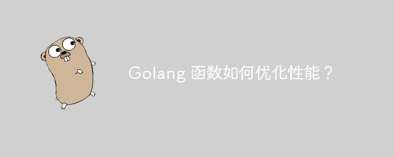 Golang 函数如何优化性能？