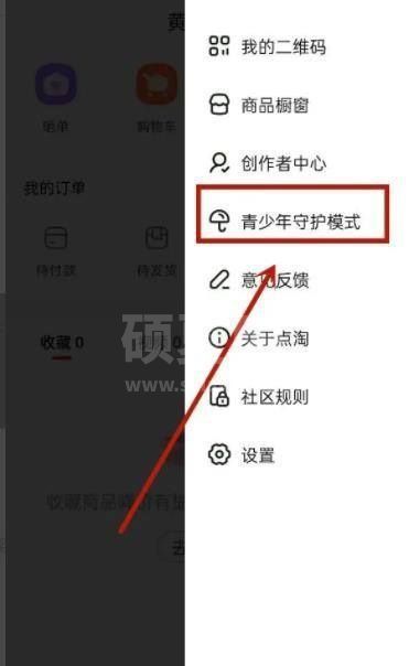 点淘怎么设置未成年模式?点淘设置未成年模式教程截图