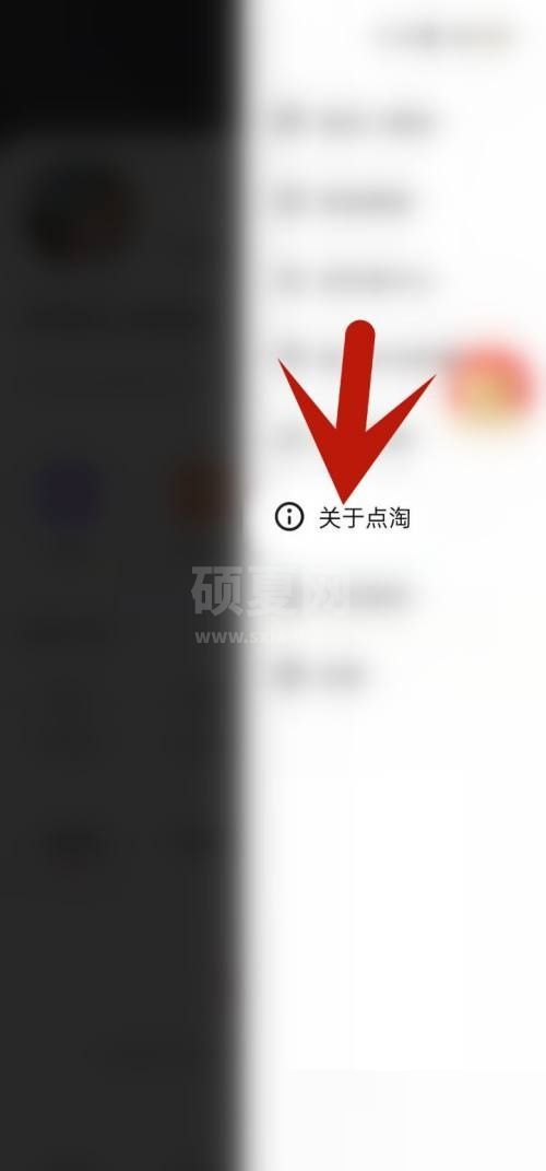 点淘怎么更新版本?点淘更新版本教程截图