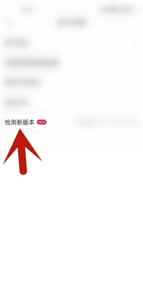 点淘怎么更新版本?点淘更新版本教程截图