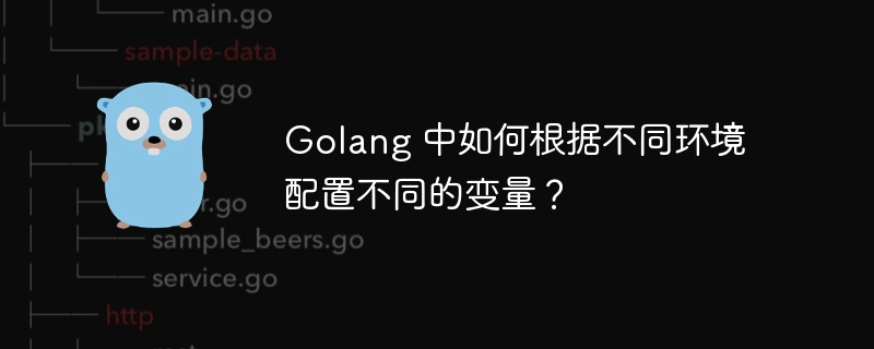 golang 中如何根据不同环境配置不同的变量？