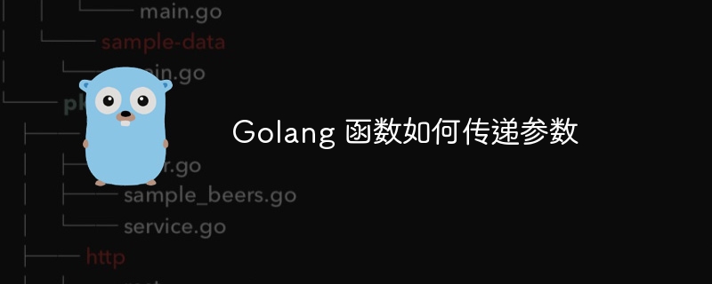 Golang 函数如何传递参数