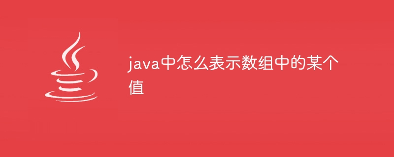 java中怎么表示数组中的某个值