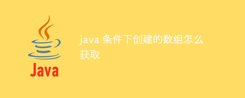 java 条件下创建的数组怎么获取