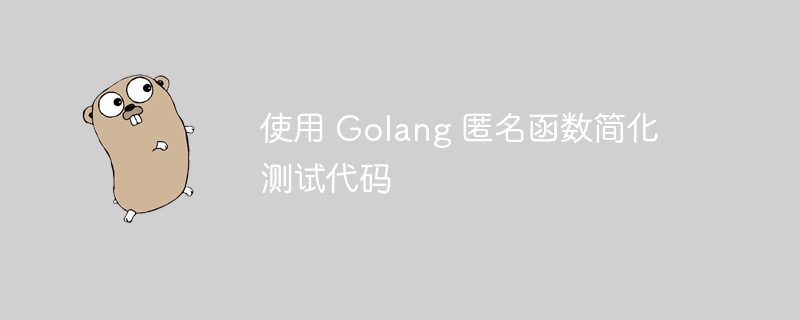 使用 Golang 匿名函数简化测试代码