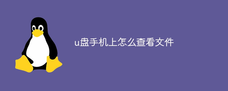 u盘手机上怎么查看文件