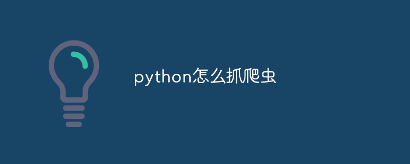 python怎么抓爬虫