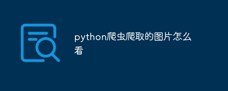 python爬虫爬取的图片怎么看