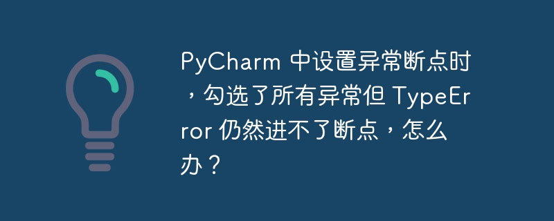 pycharm 中设置异常断点时，勾选了所有异常但 typeerror 仍然进不了断点，怎么办？