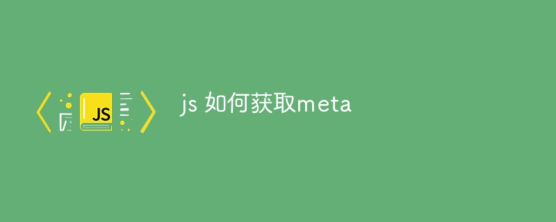 js 如何获取meta