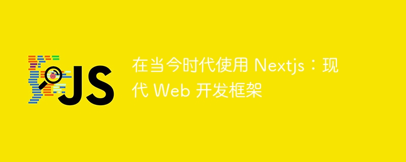 在当今时代使用 nextjs：现代 web 开发框架