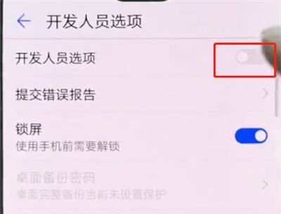 华为p20pro中打开开发者选项的简单方法截图