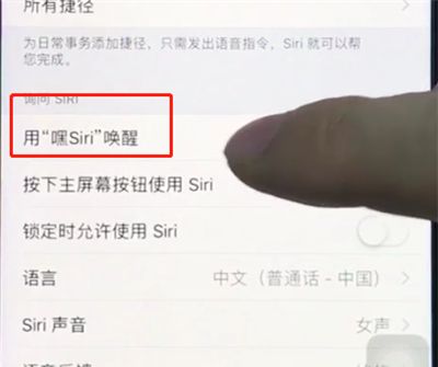 ios12中打开siri的详细步骤截图