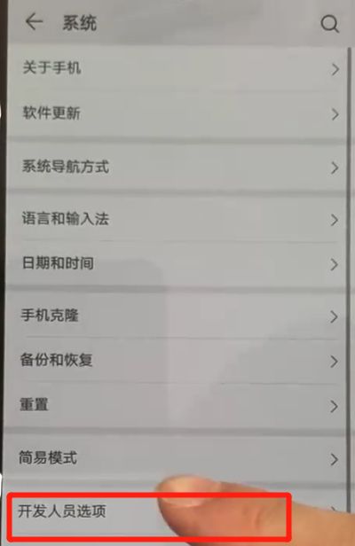 华为p30pro中将开发人员选项打开的具体操作方法截图