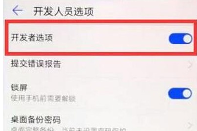 华为麦芒8找到开发人员选项位置的相关操作方法截图
