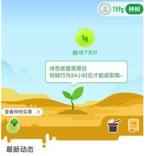 在支付宝中查看自己所种的树的图文教程