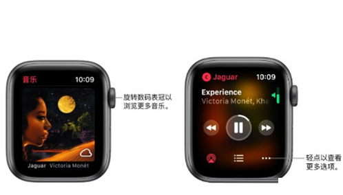 Applewatchseries6怎么单独播放音乐?Applewatchseries6单独播放音乐方法截图