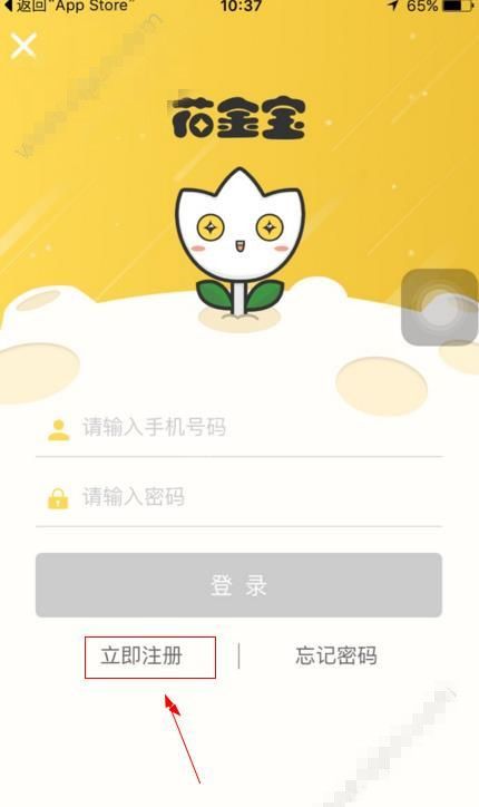 花金宝注册的步骤讲解截图