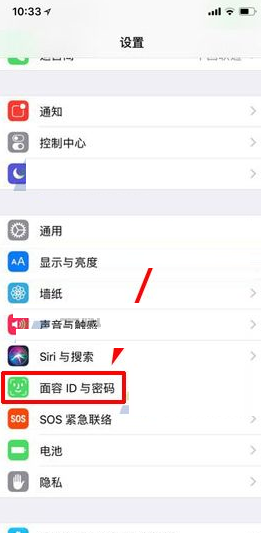 iPhone X设置语音拨号的操作过程截图