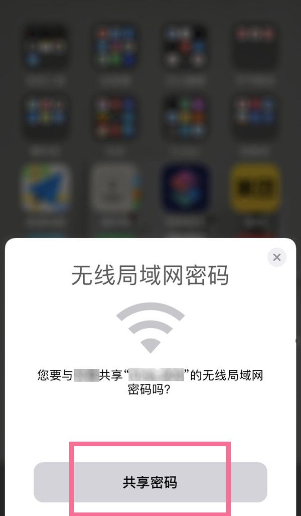 苹果13如何扫码连接wifi？苹果13扫码连接wifi教程截图