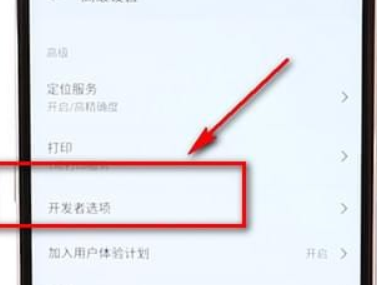 黑鲨手机进入开发者模式的操作流程截图