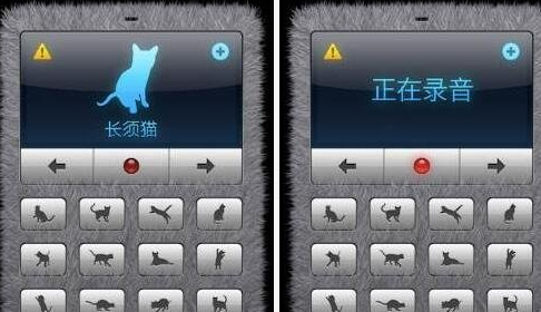 人猫交流器app使用的详细讲解