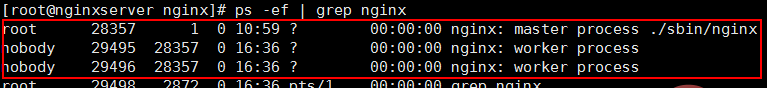 nginx-6.png