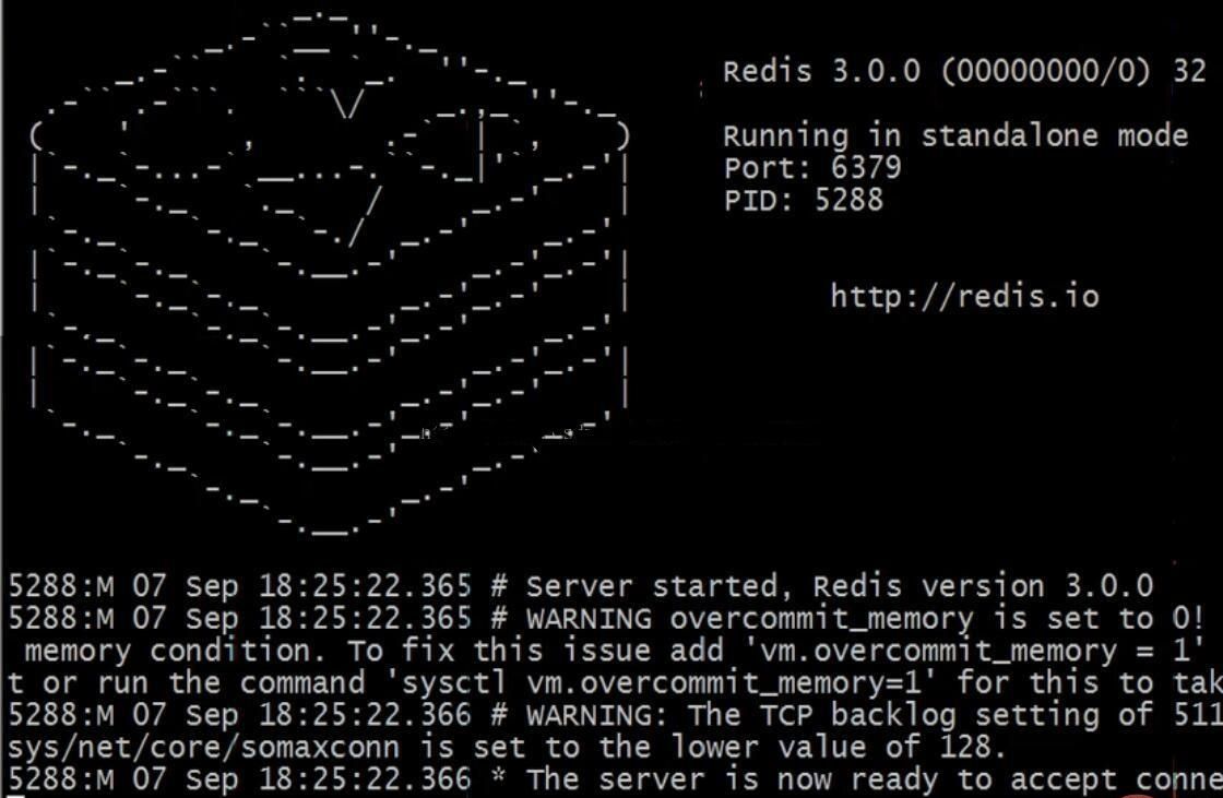 redis-1.jpg