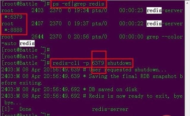 redis-11.jpg