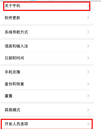 荣耀20青春版中打开开发者选项的操作教程截图