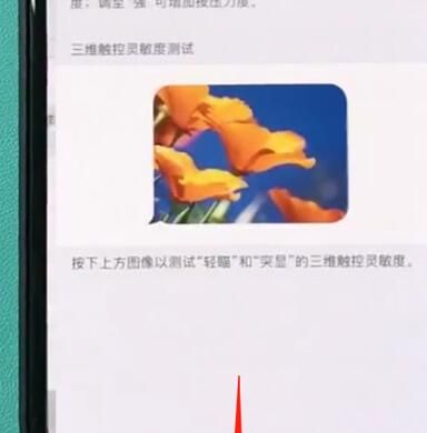 iphonexr中开启半屏功能的简单步骤截图