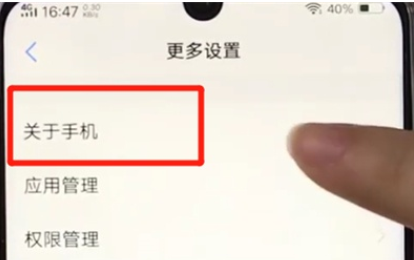 vivoz3打开开发者选项的操作教程截图