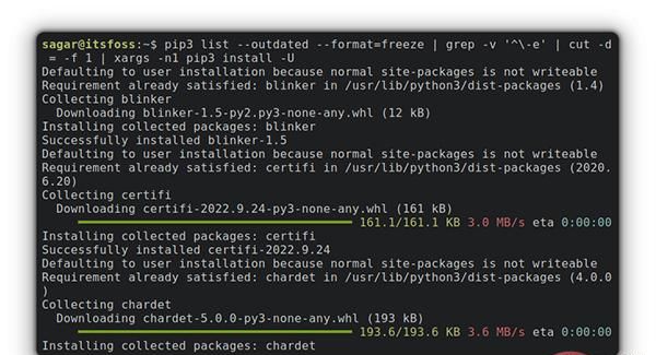 使用 Pip 升级 Python 软件包