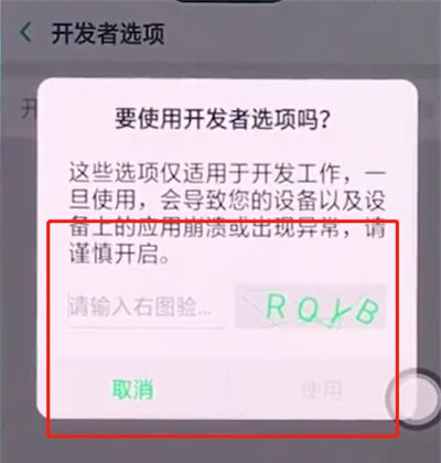 oppo手机中打开开发者选项的详细步骤截图