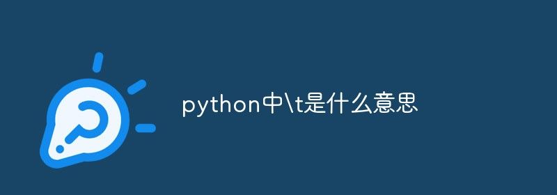 python中\t是什么意思