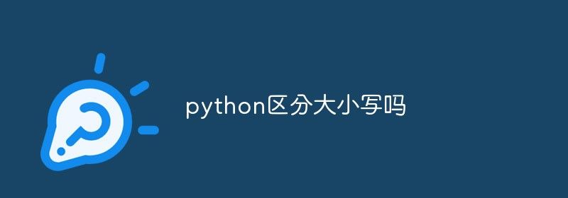 python区分大小写吗