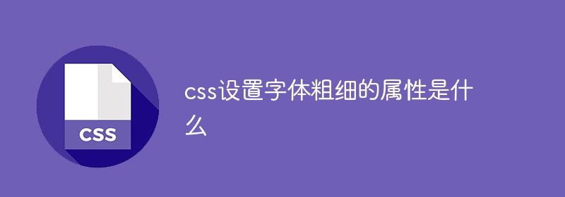 css设置字体粗细的属性是什么