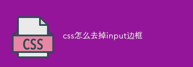 css怎么去掉input边框