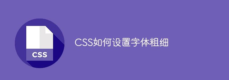 CSS如何设置字体粗细